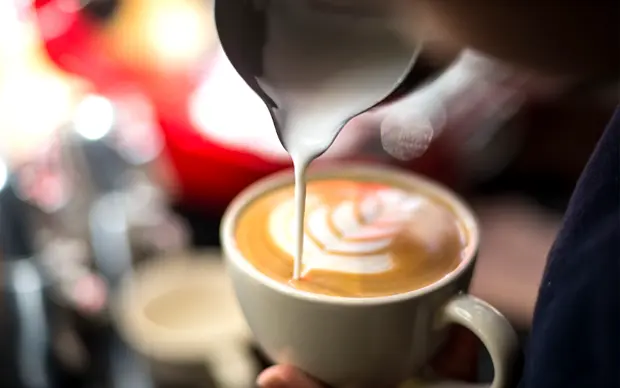 O que é café especial, quais são os seus tipos e como prepará-lo?